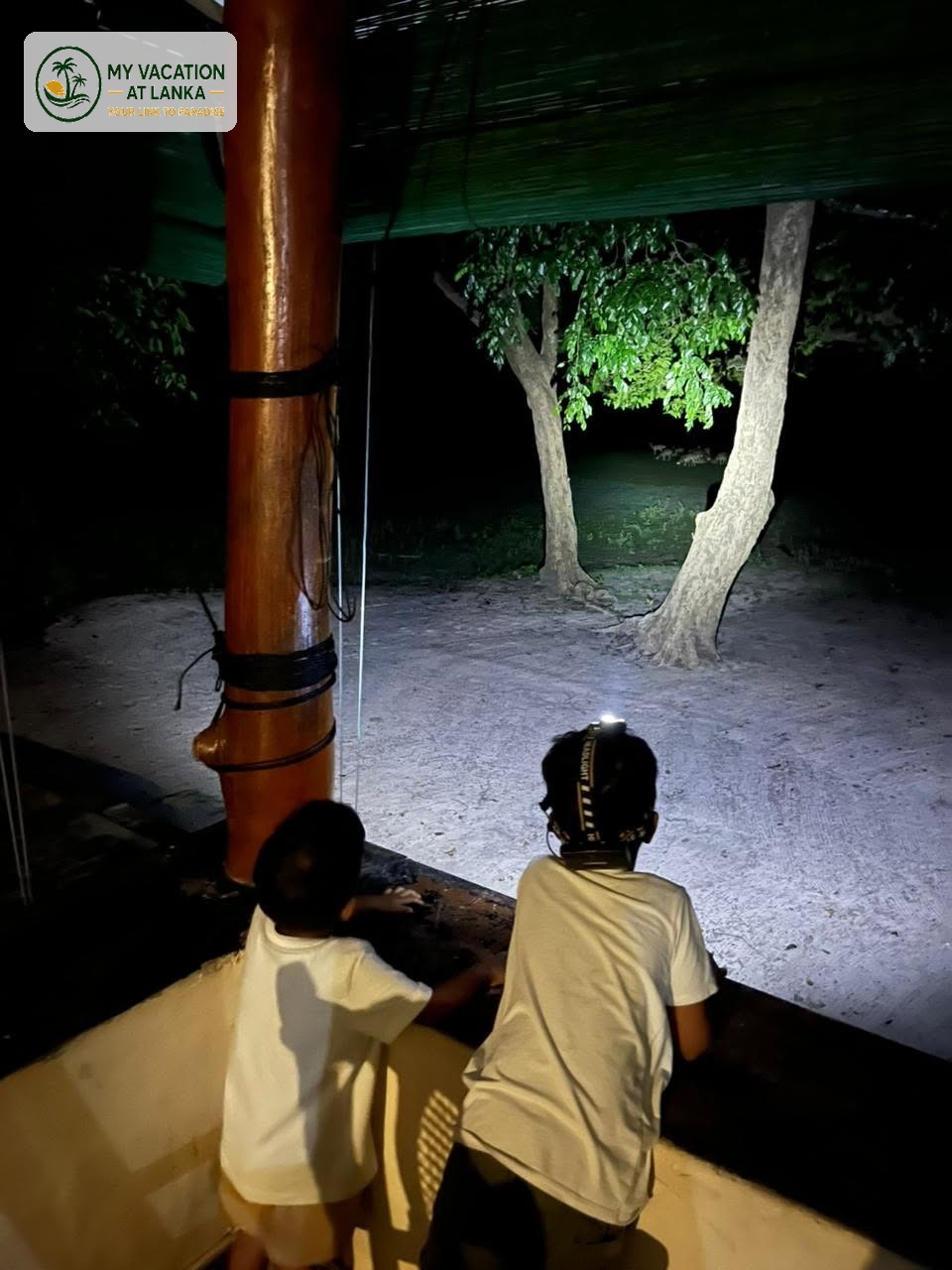 Sri Lanka travel photo 9