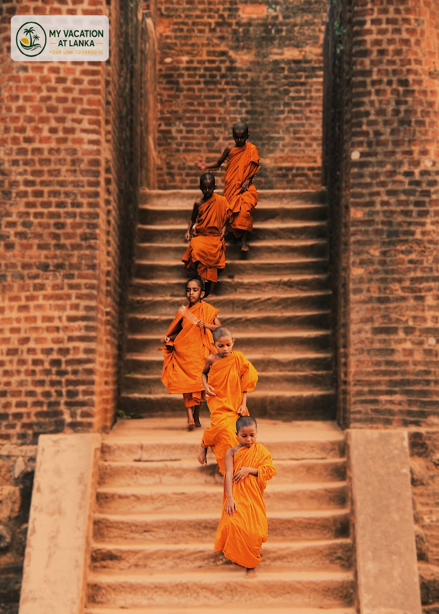 Sri Lanka travel photo 11