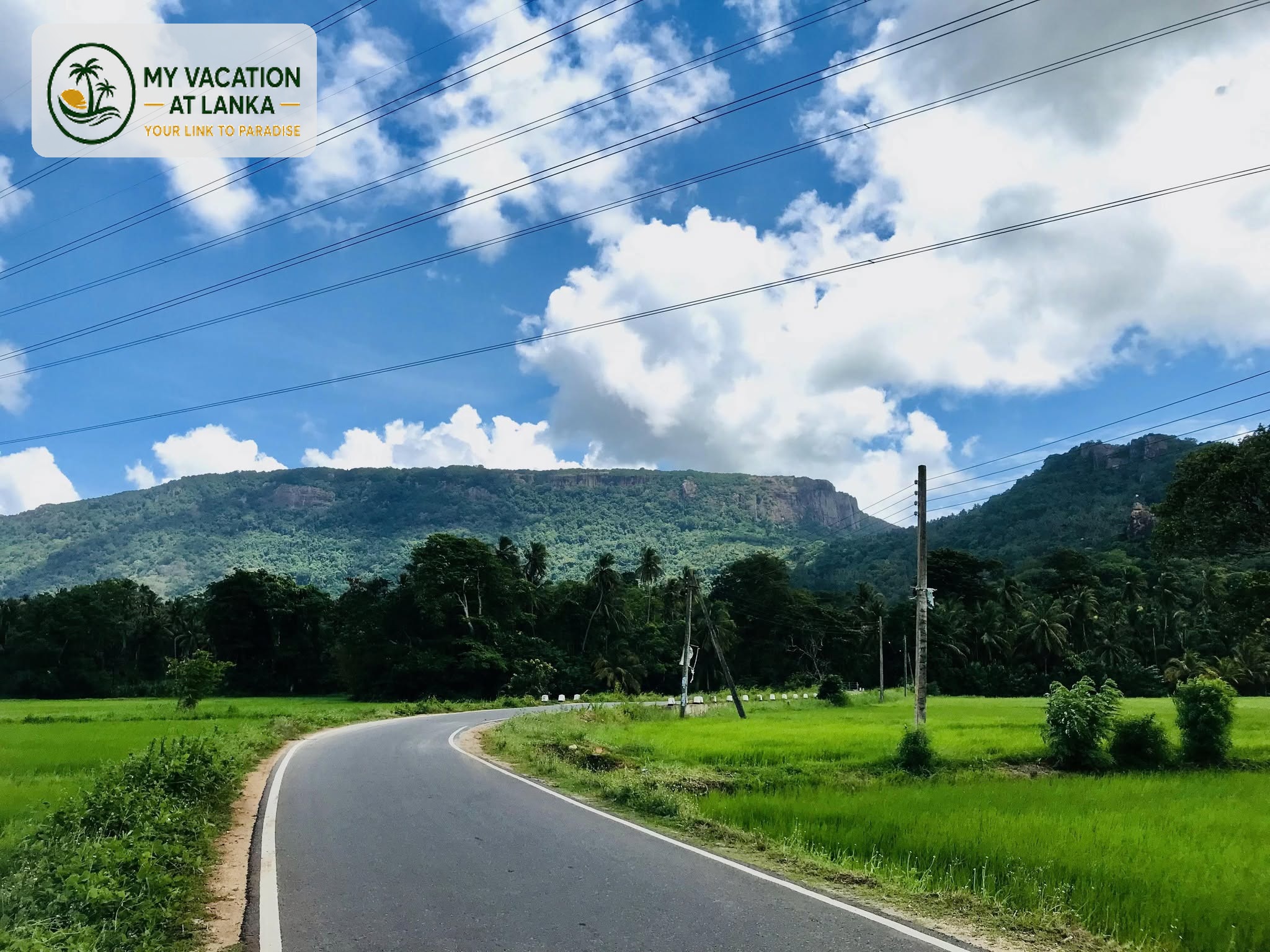 Sri Lanka travel photo 16