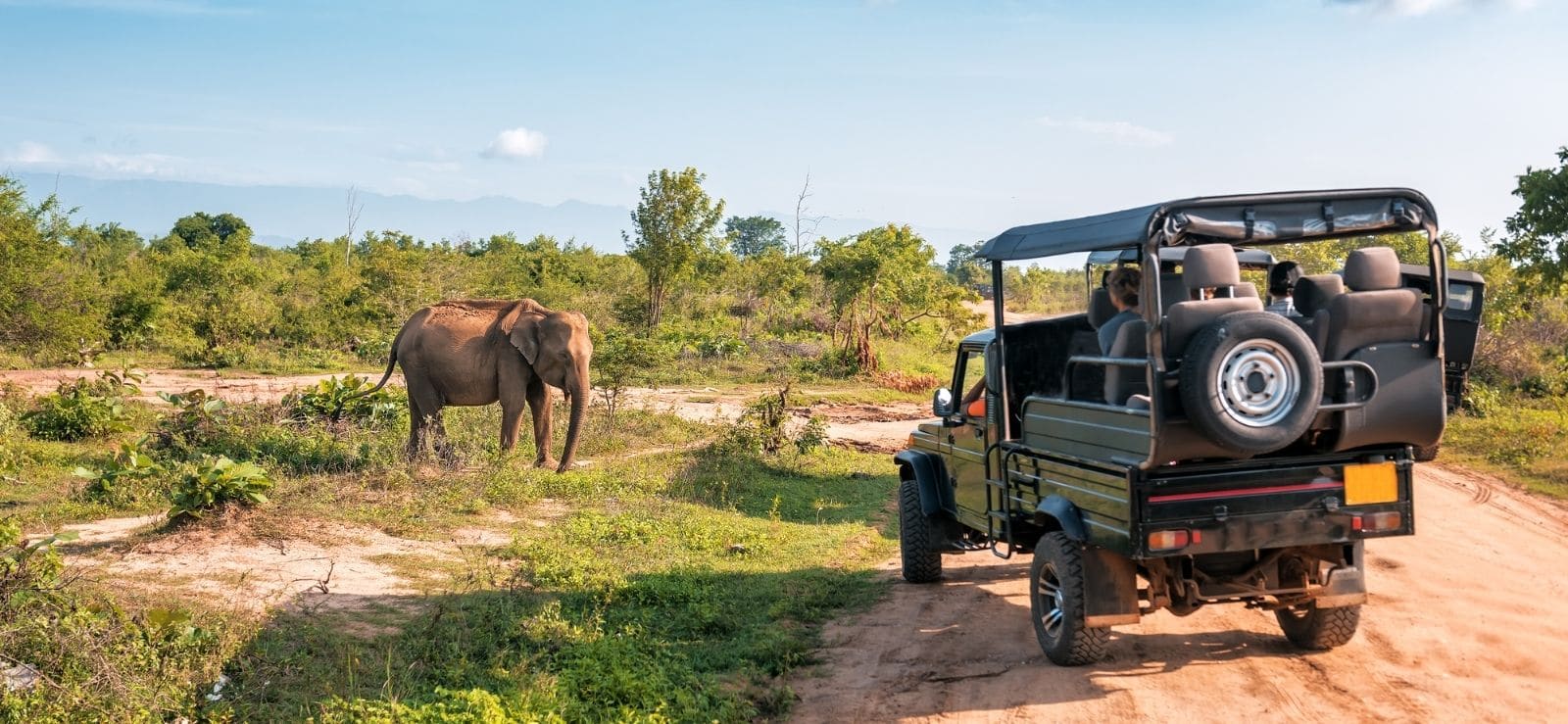 Wildlife-Tours-In-Sri-Lanka-Featured-Image
